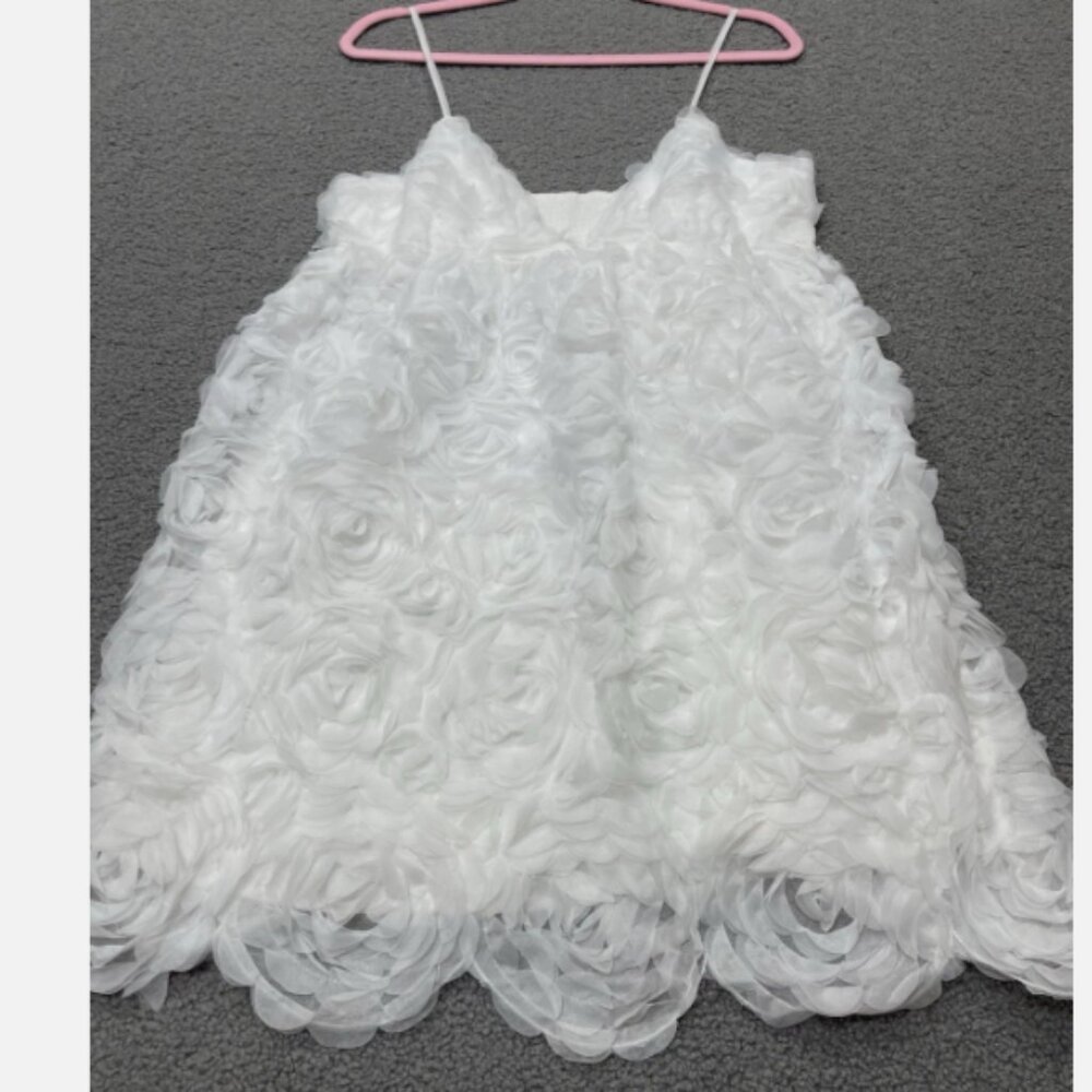 Brand New Anthropologie BHLDN V-Neck Tulle Rosette Mini Dress - Picture 7 of 12
